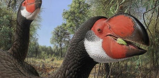 Putting the bones of giant, extinct ‘thunderbirds’ under the microscope reveals how they grew