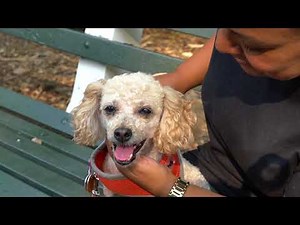 Thrown Away like Trash: Watch Charlotte's Recovery