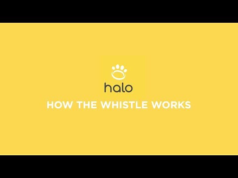 How the Halo Collar Whistle Works