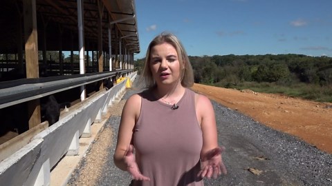 TN farmers face beef boom, soybean struggles