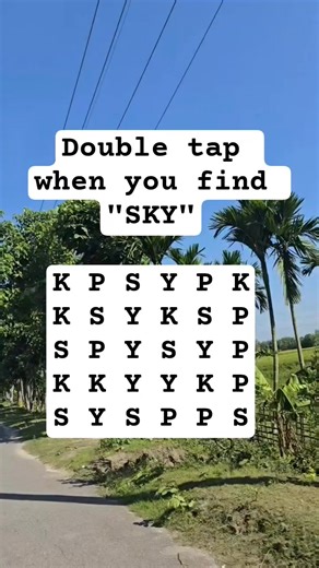 70K views · 1.8K reactions | Observation Visual Test: 5 Seconds For You To Spot SKY. Try Your Skills! #search #puzzle | Devlop's IQ & Puzzle | Facebook