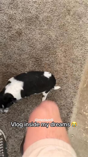 64K views · 2.4K reactions | Normal day in my life  daily vlog part 17 | Medazelli Automatic | Facebook