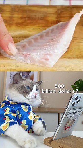 Everything you need to pre your foods 😊 #ThatLittlePuff #puffknowsbetter #catsofFB | That Little Puff