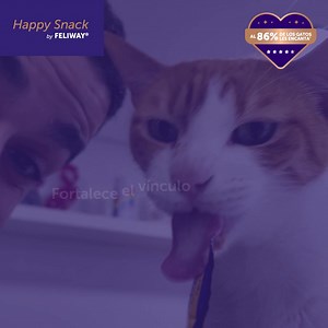 Muchos amantes de los gatos ya han probado el delicioso premio que ayuda a calmar a sus gatos. ¡Prueba la tranquilidad de FELIWAY! 💜👇 | Feliway ES