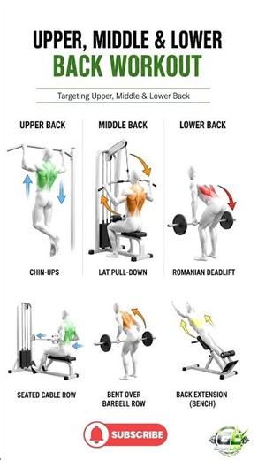 6 Best Back Exercises for a Strong & Wider Back 💪🔥 #fitnesstips #coreworkout