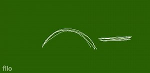 Breathing and the chest cavity Place your hand on your chest. O... | Filo