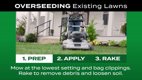 Scotts Turf Builder 2.4 lbs. Grass Seed Sun and Shade Mix with Fertilizer and Soil Improver Thrives in a Variety of Conditions 18054