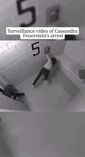 In March 2013, Cassandra Feuerstein was arrested for DUl in Skokie, Illinois. During the booking process at the police station, surveillance footage later showed an officer forcefully pushing her into a jail cell. Her face struck a concrete bench, causing multiple facial fractures, broken teeth, and serious injuries that required reconstructive surgery. When the video became public, it sparked national outrage and renewed debate over excessive force and police accountability. Feuerstein filed a 