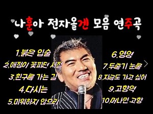나훈아 전자올겐 모음 연주곡 / 전자올겐 / 경음악 / 전곡 가사
