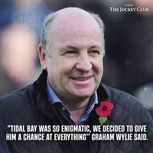🙌 44 races 🏆 15 wins 🥈 17 places 💰 £800,000 won in prize money A bet365 Gold Cup win was a highlight in the incredible career of TIDAL BAY. | Sandown Park Racecourse