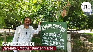 4.1K views · 33 reactions | Watch | Every summer, homes and markets...