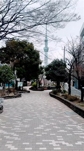 浅草の穴場お花見スポット！山田堀公園でスカイツリーと桜の絶景コラボを堪能。春の散歩に最適な癒やしの公園。✨Sakura & Sky Tree: Tokyo’s Hidden View!