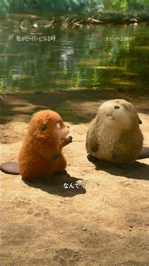 #わたビバ 本編映像公開🦫〈池のルール〉って👀クマのエレンに食べられそうになったのんびり屋すぎるビーバーのローフ🐻🍴🦫『#私がビーバーになる時』大ヒット上映中🎥