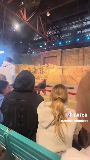 400-lb Ball Fall Injures Worker at Disney's Indiana Jones Show
