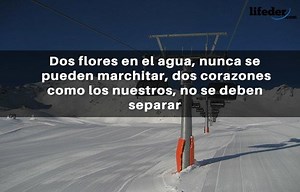 113 versos de amor cortos para enamorar