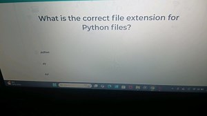 What is the correct file extension for Python files?.python.... | Filo