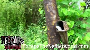 1K views · 24 reactions | Feeling Cooped Up? Bring your BUBBLE to NETHERWORLD this weekend! - Private Games Only - Escape The Netherworld: Friday and Saturday Netherworld Laser Adventure: Saturday | Netherworld Haunted House | Facebook