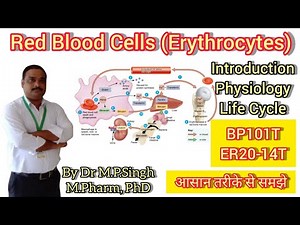 Red Blood Cells (Erythrocytes) | Introduction, Life Cycle | Human Anatomy & Physiology-I | BP101T