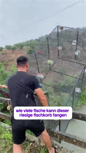 Essential Fishing Tips for Beginners