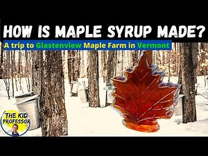 Maple Syrup for Kids! | Glastenview Maple Farm
