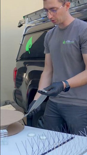 How do Bird Spikes Work?