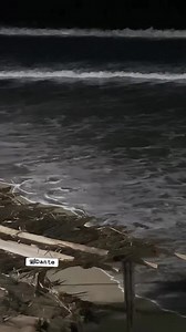 ¡COCODRILO EN PLAYA DE ACAPULCO! 🐊🏖️ Está noche un cocodrilo fue avistado nadando en la playa de Revolcadero, en la zona Diamante de Acapulco. 😖🌊 | El Ojo de Acapulco