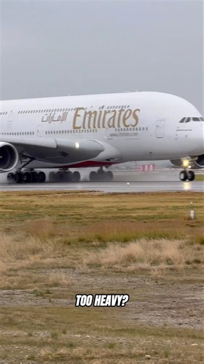 Can This Giant Even Fly?