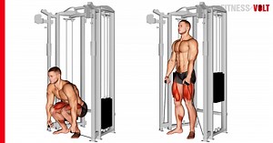 Cable Deadlift Exercise: How-To, Variations and Video Guide – Fitness Volt