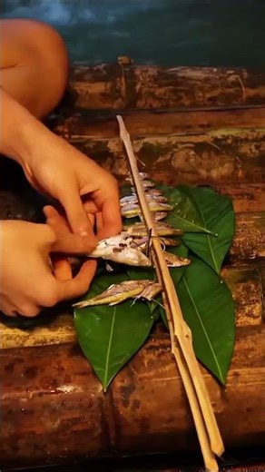 Outdoor Camp Setup by the Stream | Nature and Relaxation