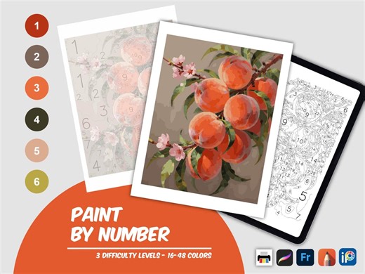 Peach Blossom and Peaches Color by Number Printable, Summer Fruit Paint by Number, Adult Coloring Page, Easy Peach Tree Digital Download