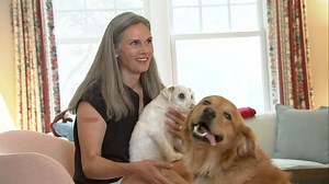 Rabid raccoon attacks woman and her two dogs on Radnor trail