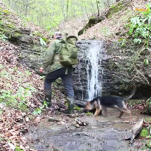 33K views · 962 reactions | Construction under the stone continues! Alone in the forest | Mountain Cabins | Facebook