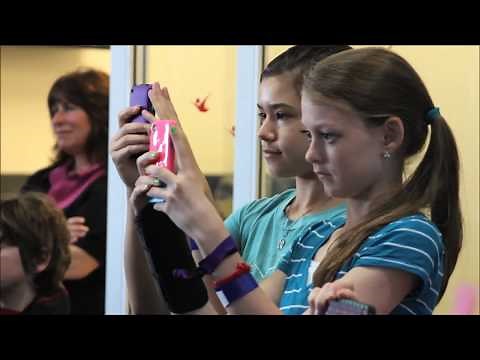 iFLY | What does a STEM Educational Field Trip Look Like at iFLY?