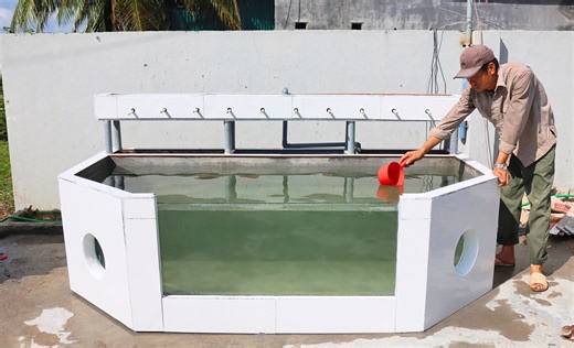 Make a unique fish tank from brick and cement and ceramic