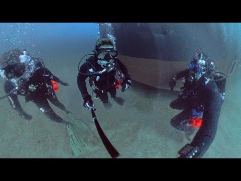 Scuba Diving the NEW Black Pearl Wreck | Panama City Beach, FL 11/22/25 #scubadiving #blackpearl