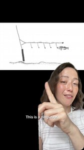 Don’t laugh at the dinglebar! This is serious fishing gear. 🤭The dinglebar is a low-impact type of fishing gear that is specially designed to lure a hungry lingcod from its seafloor habitat with minimal impact on the surrounding ecosystem. The dinglebar also ensures that lingcod can be landed quickly for top-quality, premium harvests. #sustainableseafood #wildseafood #alaskanseafood #lingcod #dinglebar | Wild Alaskan Company