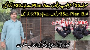 710K views · 17K reactions | Australorp Hen Farming in Pakistan |...