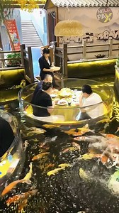 Luxury Glass Restaurant Collapses Mid-Dinner! 💥🍽️🐟 Was it Real? This viral Chinese restaurant became famous for its floating glass islands, where guests dined above a deep pool filled with fish. But things took a shocking turn when the glass structure suddenly collapsed, sending diners into the water. Watch the unbelievable moment unfold! #glassrestaurant #restaurantfail #luxurydining #viralvideo #reelshock #finefoodfail #diningdisaster #trendingreels #shockingmoment #unexpectedtwist #restaur