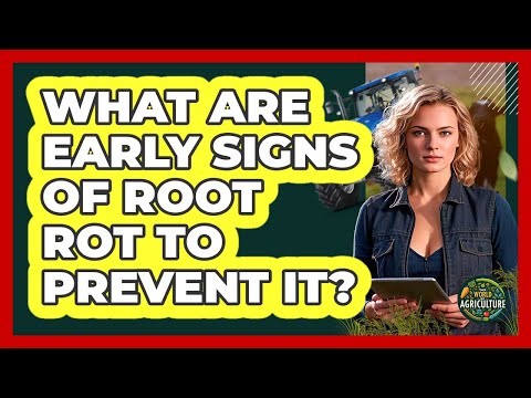 What Are Early Signs Of Root Rot To Prevent It?