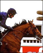 Choosing a Thoroughbred stallion - Horse & Hound