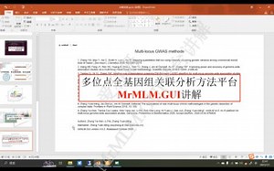 多位点全基因组关联分析方法平台MrMLM.GUI讲解