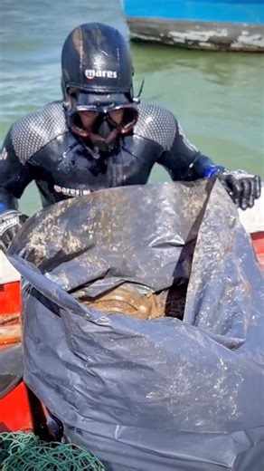 Underwater clean & beach clean, Sal, Cape Verde 🥰 🇨🇻 🤿🌊🦈🐟🐡🏝💙 We're proud to have taken part in a very successful underwater & beach clean organised by @projectbiodiversity. A huge community effort 💪with many local participants, resulted in us collecting more than 1 ton of trash from the ocean and surrounding beaches in Palmeira, a traditional fishing village on Sal Island 👏🌍🙂💙 #explorecv #explorecapeverde #cleanup #oceancleanup #cleanoceans | Explore Cape Verde