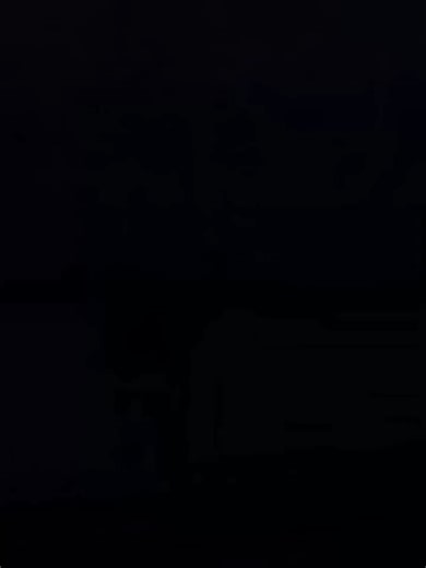 Wink Mod for Free Fire: Enhance Your Game Experience