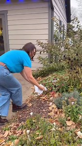 The perfect little hostess or teacher gift under $30! Sweet, simple, and thoughtful. Pair it with a gift card or your favorite Aveda product for an easy, elegant surprise. Available now at Lori’s Salon & Day Spa #ShopSmall #RiverFallsWI #HostessGift #TeacherGift #GiftUnder30 #HolidayGlow #LorisSalonAndDaySpa #AvedaLove #SpaGifts #aveda | Lori's Salon and Day Spa