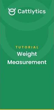 Easily Record Cattle Weights from Your Phone #livestockmanagement #weightmanagement