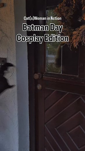 ~ English below ~ Heiliger 3. Septembersamstag, Batman! Es ist wieder Batman Tag und das muss natürlich gefeiert werden! Nachdem ich ja mit Supergirl schon begonnen habe das DC Universe cosplaymäßig zu erforschen ist Catwoman auf jeden Fall auch bald an der Reihe! Danke @dc_deutschland für den epischen Loot von @funko_europe und @paninide - um den Tag von Gothams Dark Knight ordentlich zu zelebrieren - da konnte mein Selina-Alter-Ego inspiriert vom Batman 89 #1 Cover auf keinen Fall nein sagen �