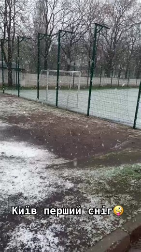 Snowy Outdoor Scenes: Beauty of Falling Snowflakes