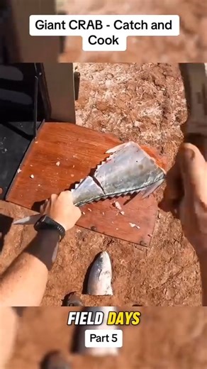 GIANT MUD CRAB Catch and Cook NO FOOD #camping #crab #mudcrab #catchandcook #outdoors #fishing #fielddays | Field Days
