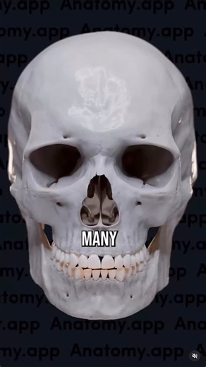 6.9K views · 3K reactions | Your uneven jaw isn’t just a jaw problem,...