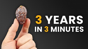 From seed to ceiling: 3-year date palm journey